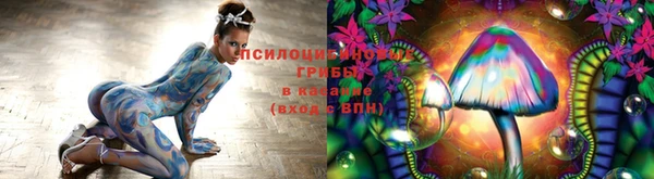спайс Абдулино