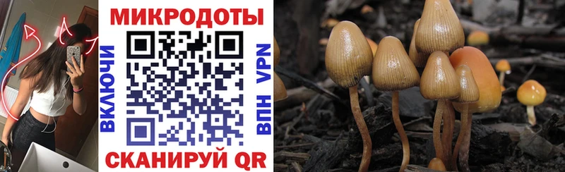 MEGA зеркало нарко площадка какой сайт Псилоцибиновые грибы Psilocybine cubensis Струнино